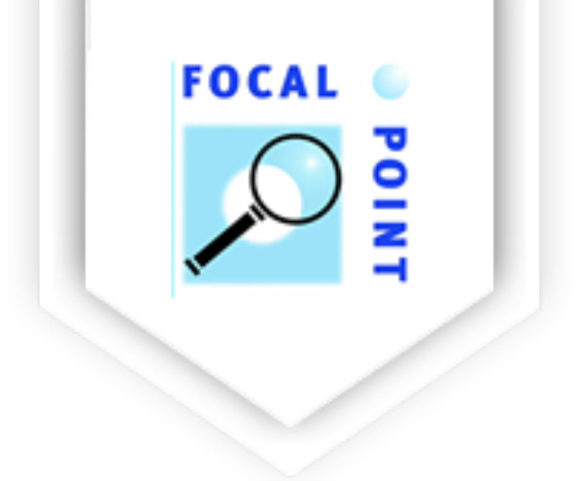 Focal Point Training and Consultancy