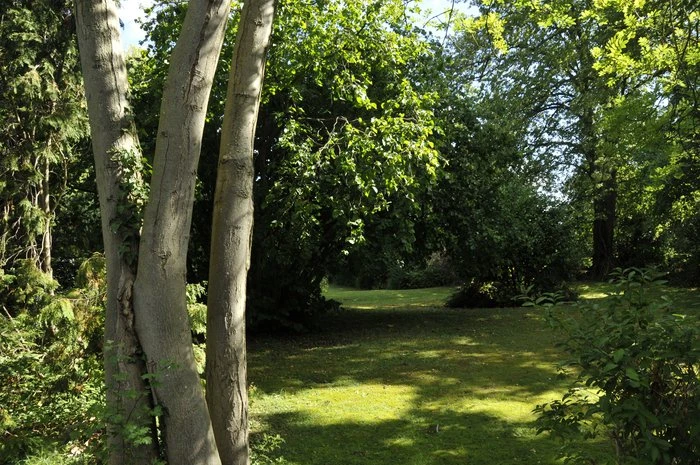 Eagle House Care Home Gallery Picture