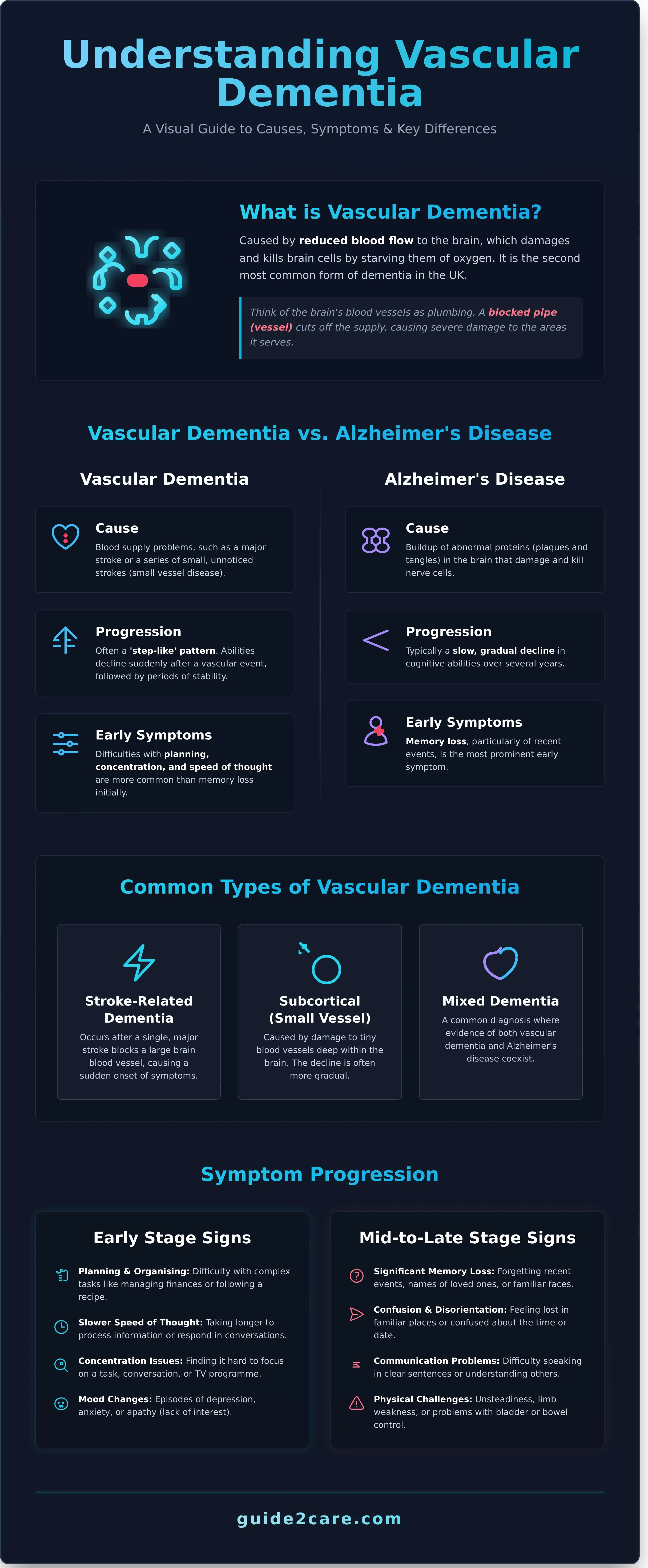 Vascular Dementia: A Practical Guide for Families